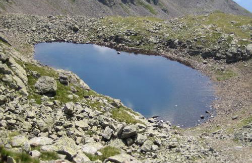 Biohof Hamann - Foto 16