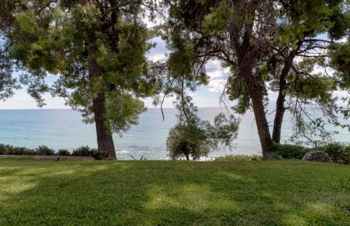 Halkiddiki-Kassandra-Mola Kalyva Traditional House in front of the sea - Foto 27