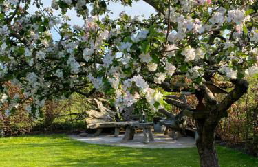 Holly Cottage The Studio - Foto 20