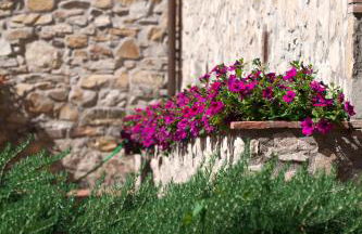 Agriturismo La Casa Di Rodo - Foto 49