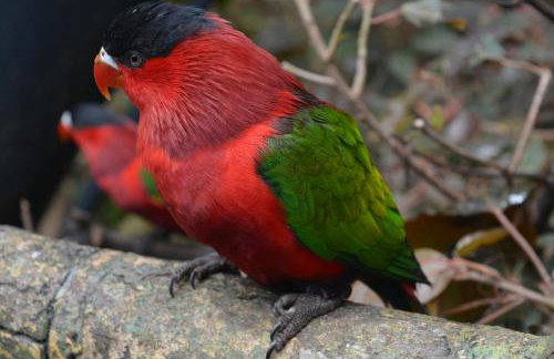THE TEIDES WINDOW swimming pool LA VENTANA DEL TEIDE - Foto 29