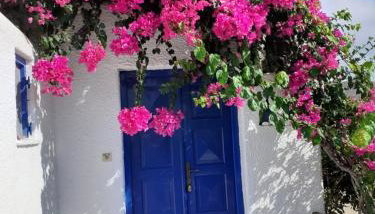 Villas Kalafatis Apartments - Foto 5