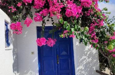 Villas Kalafatis Apartments - Foto 5