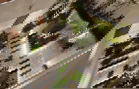 369 Luxury Apartments Mamitas Zone - Foto 45