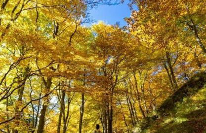 Appartamento Dimora in Piazza -Locazione Turistica Santa Maria Maggiore - Foto 14