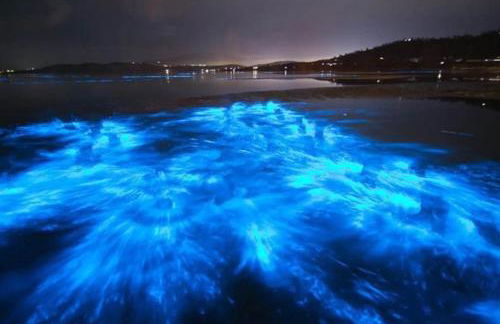 La Cita Country Club 2BR Condo - Foto 37