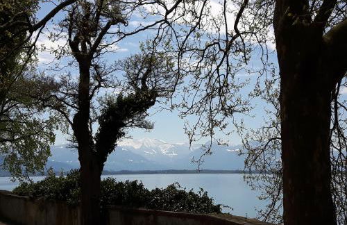 Ferienwohnung Sonnenschein - Foto 22