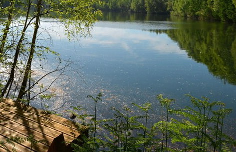 Luxury Tree Loft Tree Cabin for 4 People 4 - Foto 30