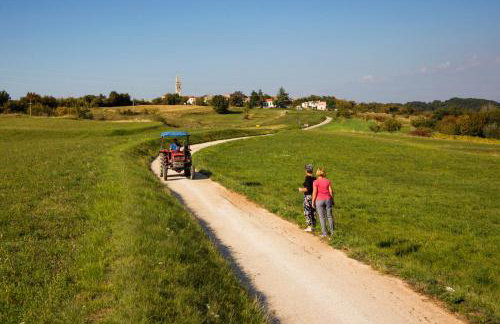 Rural Apartment Carolina - Foto 1