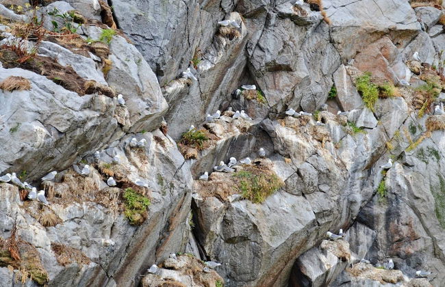 7 Person Holiday Home in Sortland-by Traum - Foto 14