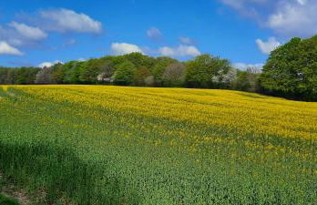Ferienwohnung Wikingerland - Foto 49