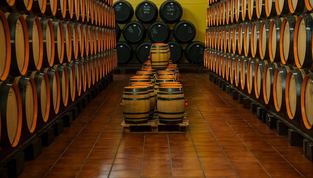 Visita la Bodega Más Antigua de Málaga y Cata de Vinos - Foto 3, Barilles