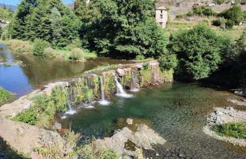 Le marronnier - Foto 12