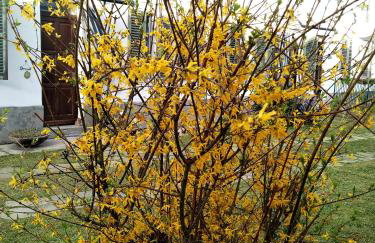 Casa di Bimba - Foto 13