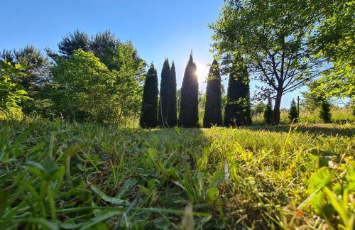 Dom w Tumianach - Foto 18