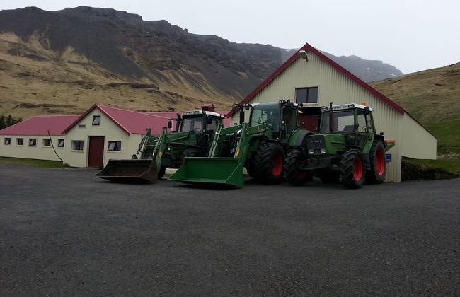 Ásólfsskáli Cottage - Foto 33