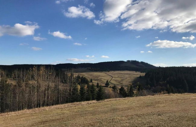 Lavish Holiday Home in Abertamy near Ski Area - Photo 32