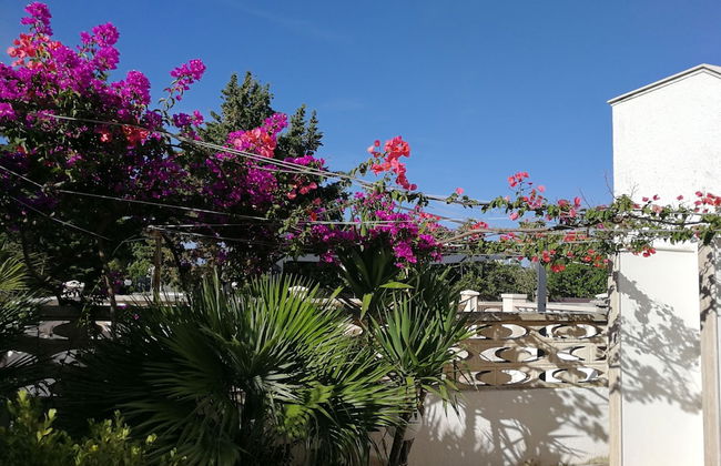 Casa Vista Mare - Photo 1