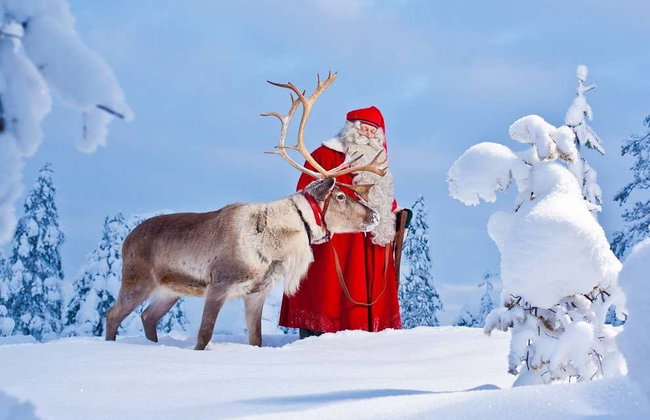 Tour completo di Rovaniemi - Foto 6