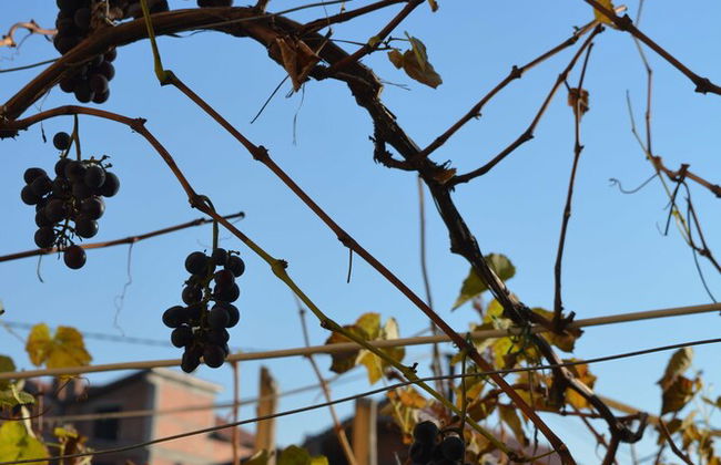 Sunilio Apartment - Photo 48