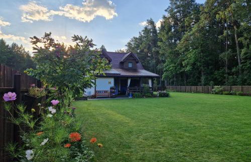 Łap Las Pelnik - Photo 43