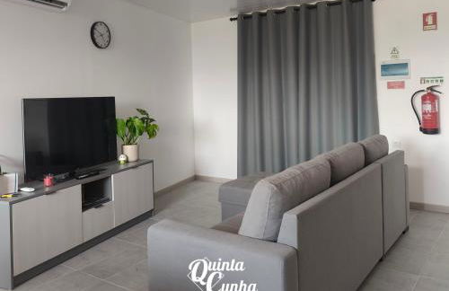 Quinta Cunha - Foto 49