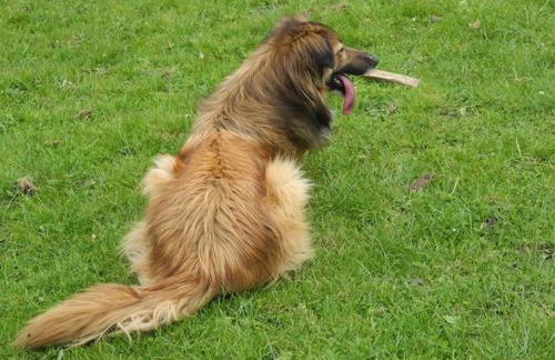 Agriturismo Piccolo paradiso - Foto 75