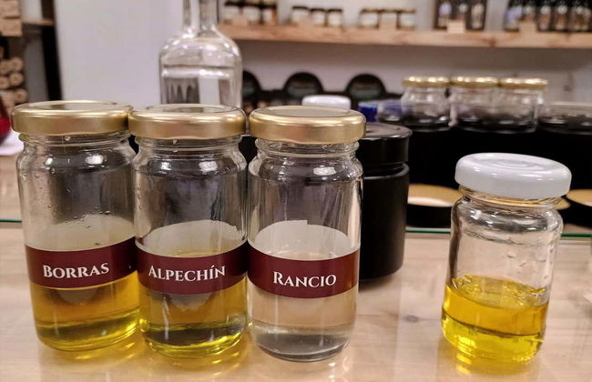 Degustação de azeite de oliva em Cazorla - Foto 9