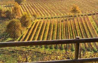 Agriturismo Albarossa - Foto 52