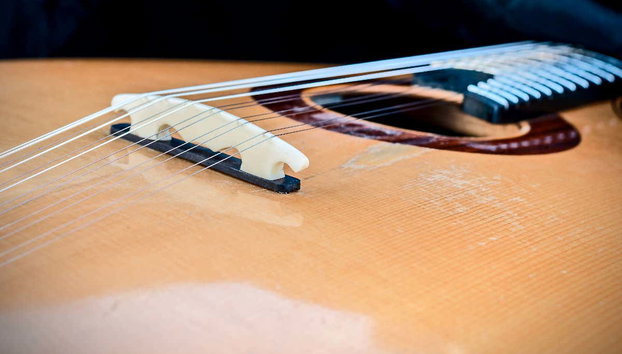 Paseo en barco con espectáculo de fado - Foto 3, Instrumentos del espectáculo