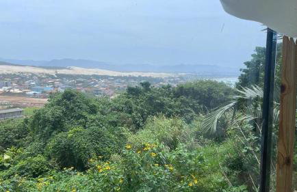 Paz na Riba - Foto 3