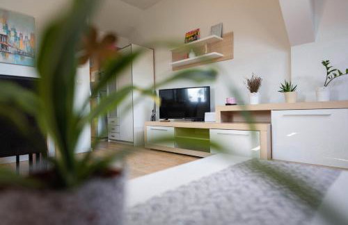 Apartment Andro,Trnje, private garage - Photo 4