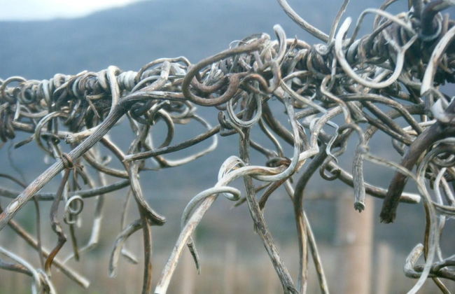 Agriturismo Grillo Iole - Foto 21