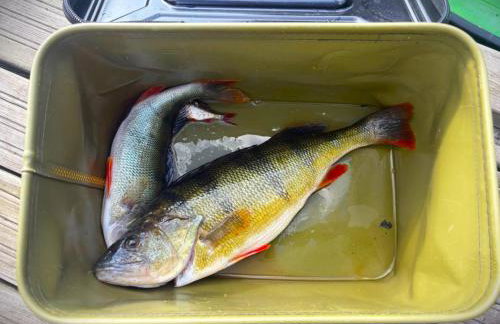 Pasterzewo 19 - Domki na Mazurach - Foto 80