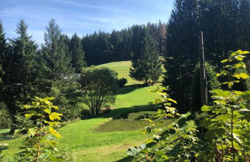 Zur alten Fabrik - Photo 25