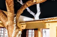 Beach Tree House - Foto 17