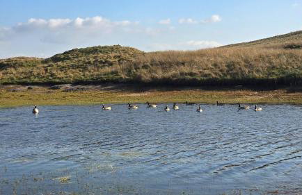 Luxury Welsh wooden cabin - Foto 67