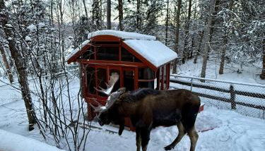 Hot Tub Stunning Mountain Views 2 kitchens 4 bedroom 2 bathroom - Foto 4