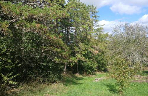 Les Gîtes de La Moure Basse - Foto 28