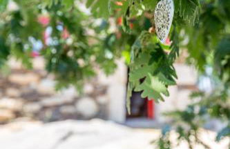 Casa do Feitor - Douro - Quinta da Cabrida - Foto 56