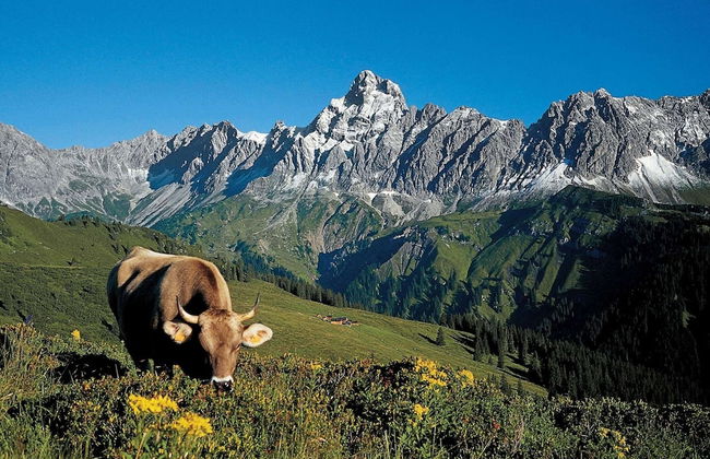 Chalet Montafon in Gaschurn With Sauna - Foto 72