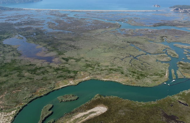 Villa Verdi Dalyan - Photo 41