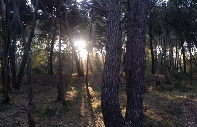 Sicily Country House & Beach - Photo 39