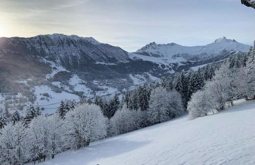CHALET CONFIDENTIEL VALMOREL - Chalet de Haut de Gamme 4 étoiles 12 personnes - Foto 10