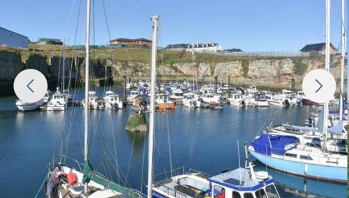 The hawthorns large detached 3 bedroom family home - Foto 4