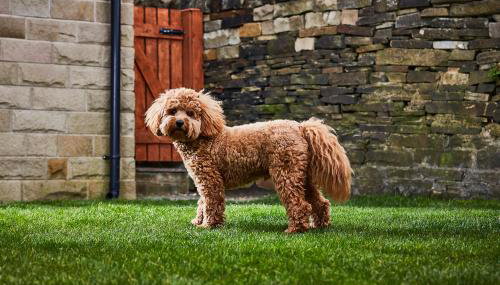 Haworth Home - Hot tub Cinema Games Room Sleeps 12 - Foto 4