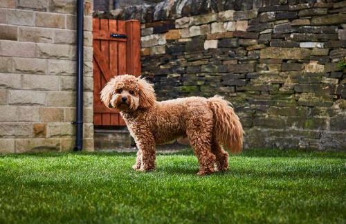 Haworth Home - Hot tub Cinema Games Room Sleeps 12 - Foto 4