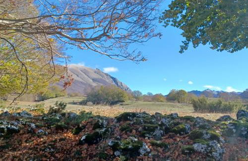 Principe di Napoli - Foto 38