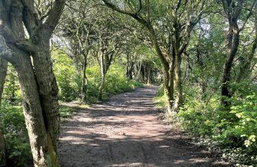 Sunny 3 bedroom house near a stunning beach - Foto 4