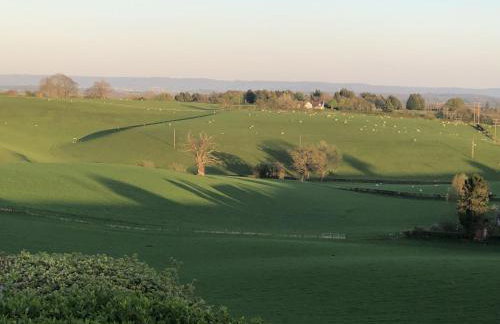 Betula Views - Photo 27